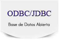 ODBC JDBC